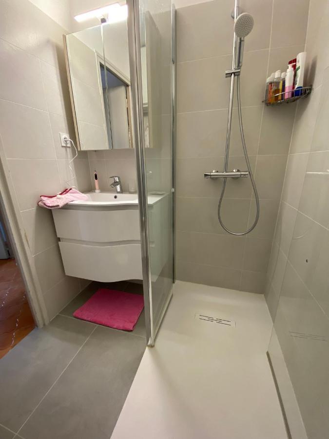 Cosy A De Portissol-climatise-parking Prive